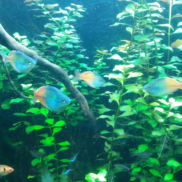 Meet your Posher, Megan - Picture 3 of 6